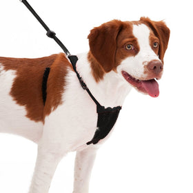 Sporn No Pull Dog Harness, Black, Medium