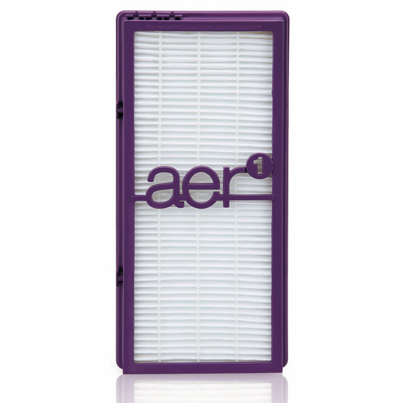 Holmes AER1 True HEPA Performance Plus Filter, HAPF300AP-U4