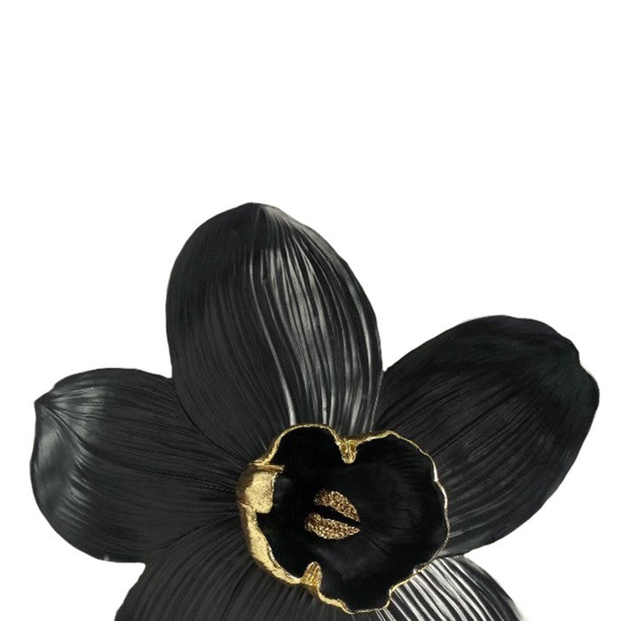Polyresin Orchid Wall Hanging Decor with Gold Anthers, Large, Black