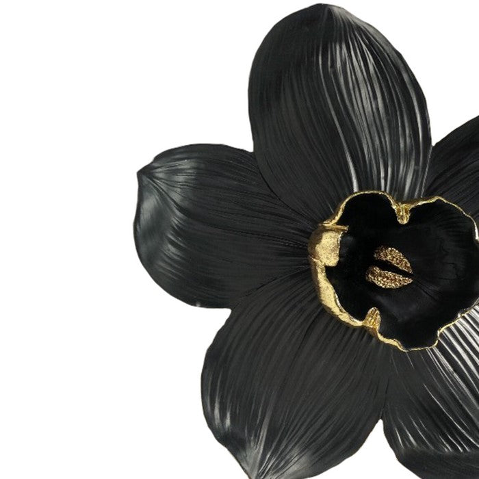 Polyresin Orchid Wall Hanging Decor with Gold Anthers, Large, Black