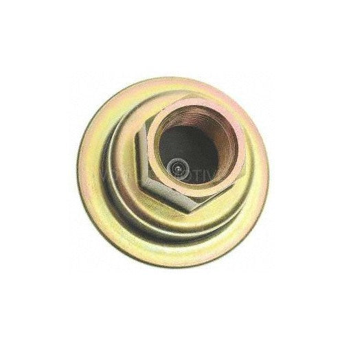 Borg Warner CV8 Check Valve