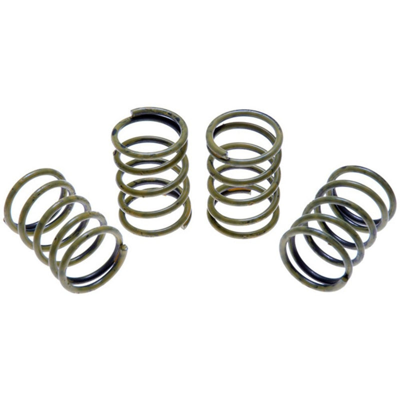 Raybestos H1150K Professional Grade Drum Brake Shoe Hold Down Spring