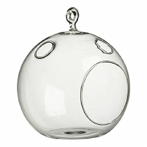 WGV Clear Round Hanging Votive Candle Holder/Glass Orb Terrarium Vase, 7-Inch by 8-Inch