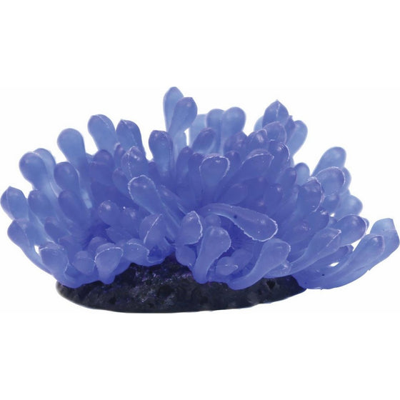 Tetra Wonderland Collection Coordinated Décor Anemone