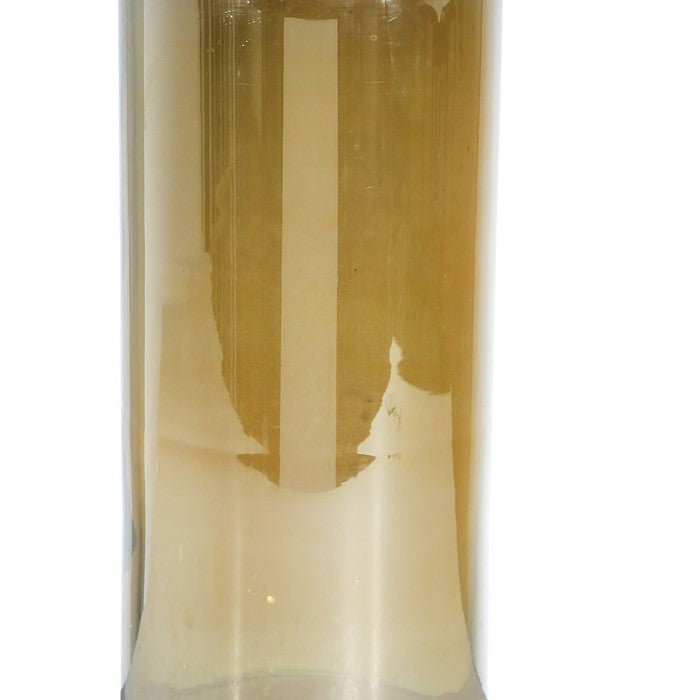 Contemporary Style Glass Vase with Metal Lid, Gold and Silver