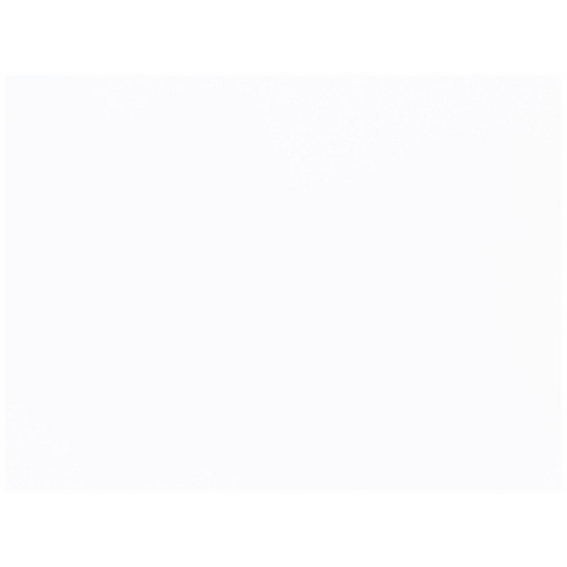 Pacon Medium Weight Tagboard, 9 x 12 Inches, White, 100 Sheets (5281)