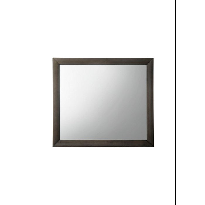 Transition Style Wooden Mirror with Rectangular Shape,Gray and Silver