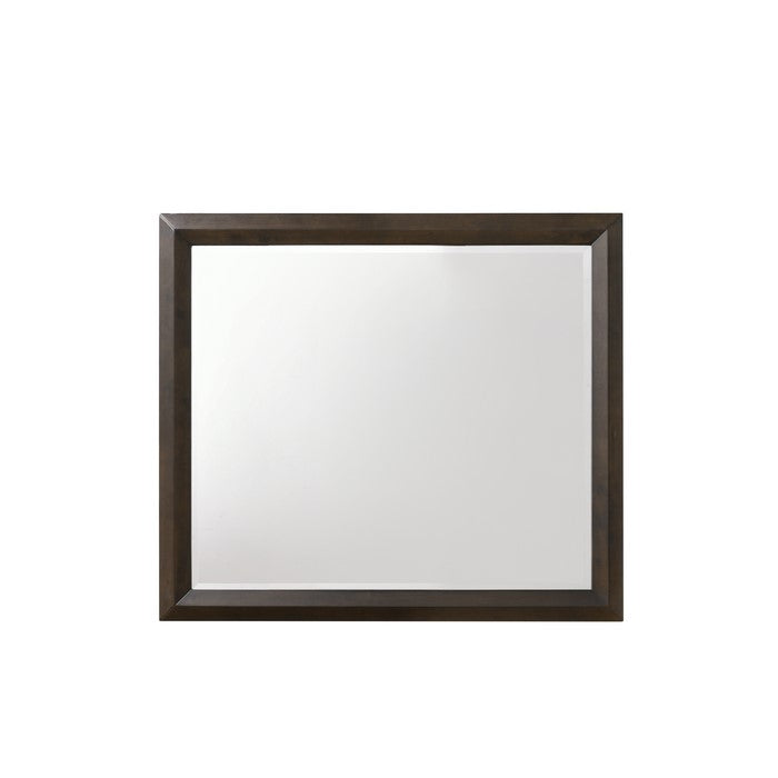 Transition Style Wooden Mirror with Rectangular Shape,Brown and Silver