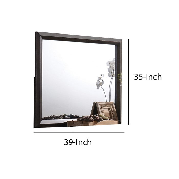 Transition Style Wooden Mirror with Rectangular Shape,Brown and Silver