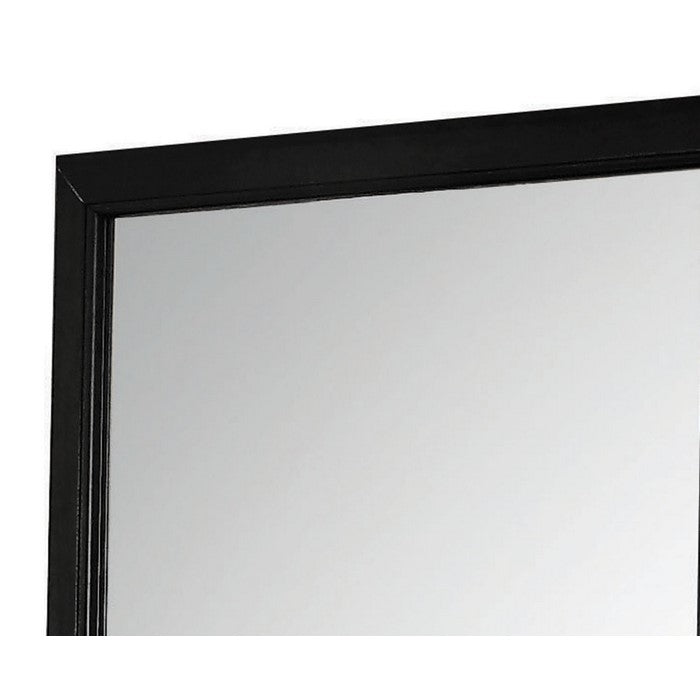 Transitional Style Mirror with Raised Wooden Frame, Black and Silver