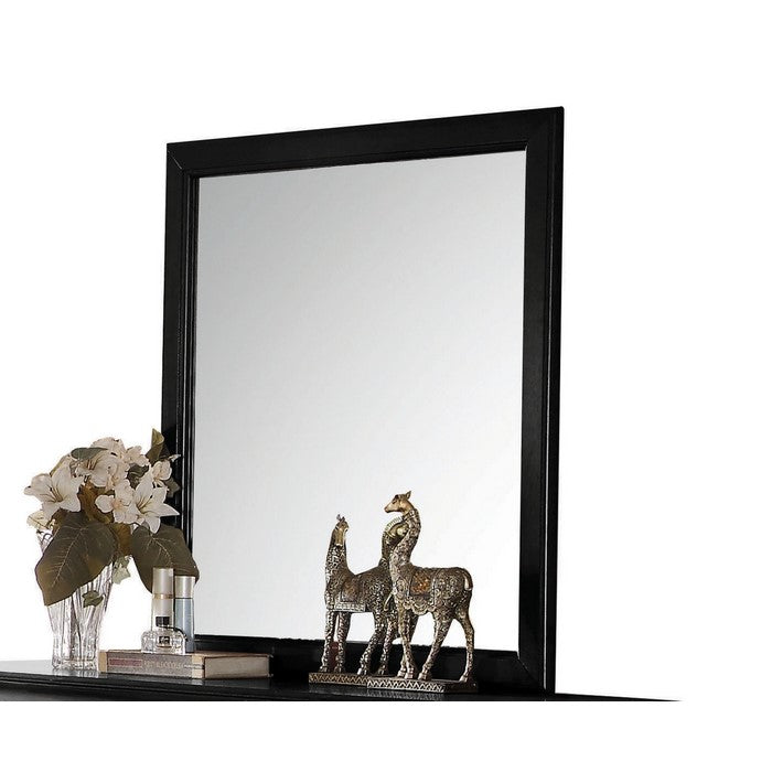 Transitional Style Mirror with Raised Wooden Frame, Black and Silver