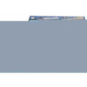 Wolo (836) Silver Streak DD Roof Mount Dual Trumpet Air Horn with Direct Drive Compressor