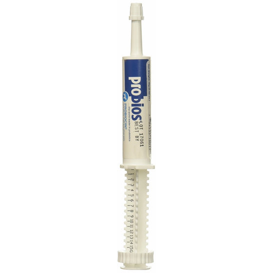 Probiocin Oral Gel 15gm syringe