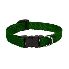 LupinePet Basics 1/2" Green 8-12" Adjustable Collar for Small Dogs