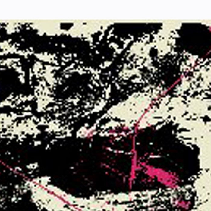 Square Shaped Wooden Wall Art with Abstract Printing, Black and White