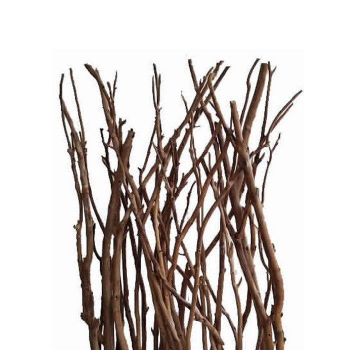 Contemporary Single Panel Wooden Screen with Art Branch Design, Brown
