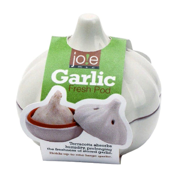 MSC International Terracotta Garlic Keeper, White