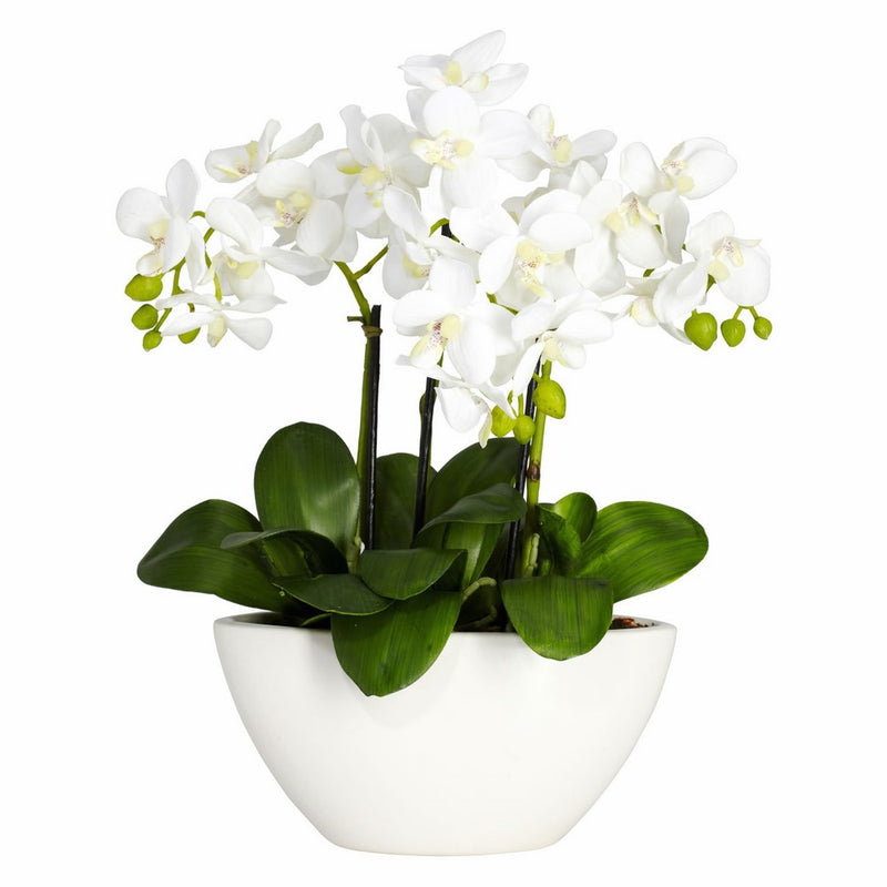 Nearly Natural 4804 Phalaenopsis Silk Flower Arrangement, White