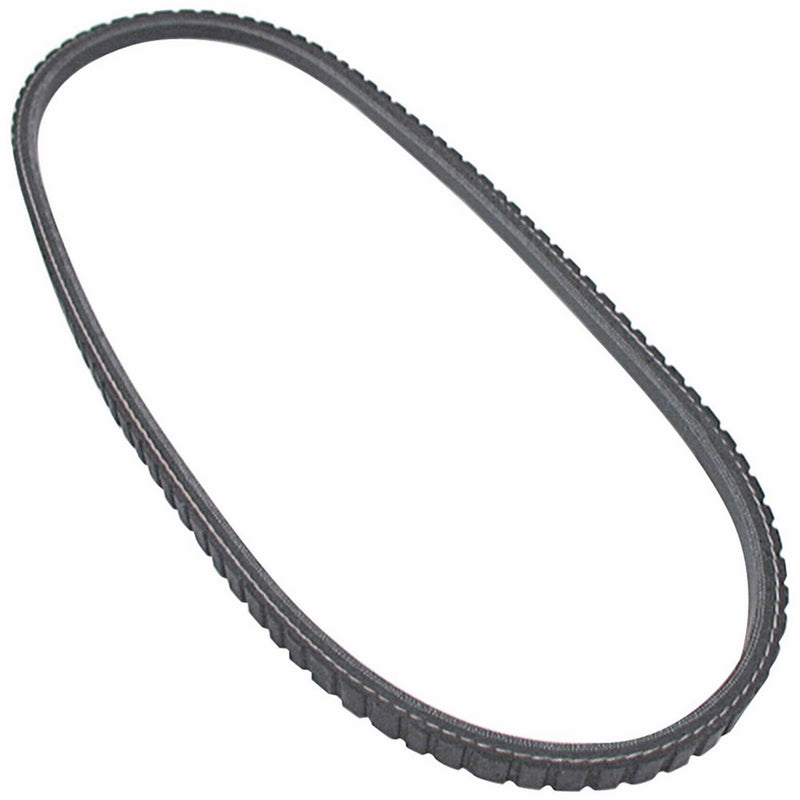 Allstar ALL86120 31.5" Length V-Belt