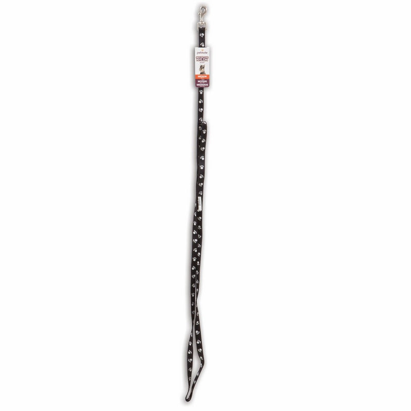ASPEN PET PRODUCTS 22454 Nylon Reflective Dog Leash, 5/8 by 6-Feet, Black