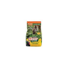 Evolved Habitats Provide Clover Food Plot with Chicory