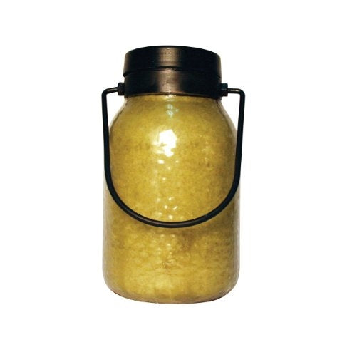 A Cheerful Giver Buzz Off Citronella Simplicity Lantern Jar Candle, 16-Ounce