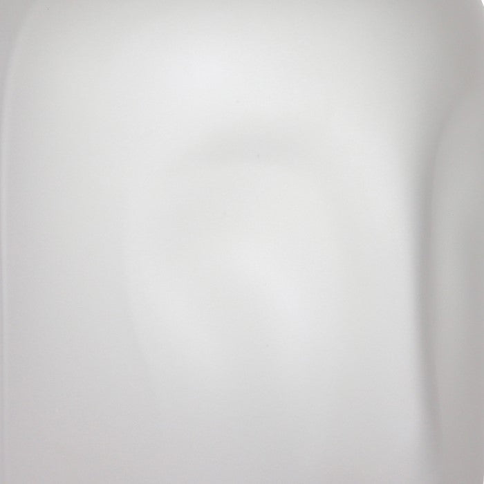 Contemporary Frosted Glass Face Sculpture Vase, White