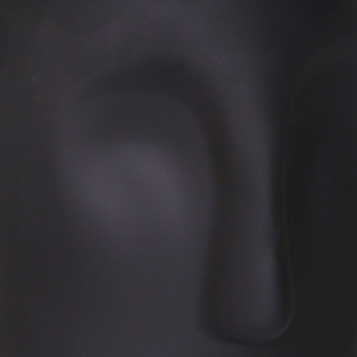 Contemporary Frosted Glass Face Sculpture Vase, Black