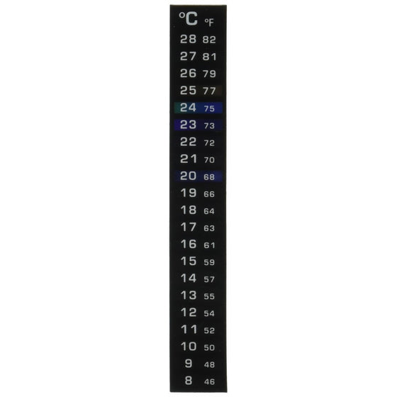 Dual Scale Liquid Thermometer