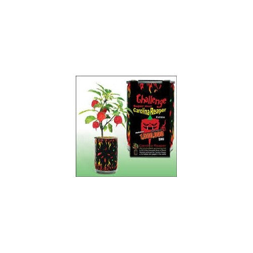 Challenge Super Hot Carolina Reaper Plant Kit