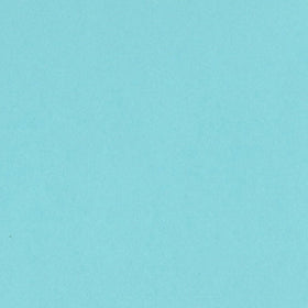 Bazzill Basics Paper T7-719 Card Shoppe Heavy Weight Cardstock, 25 Sheets, 12 by 12-Inch, Robins Egg