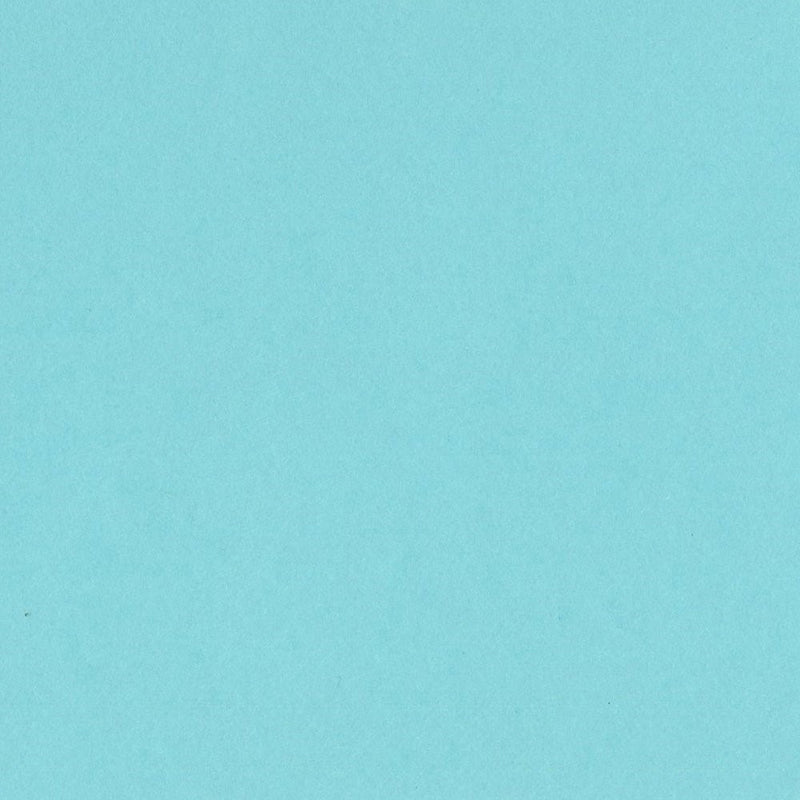 Bazzill Basics Paper T7-719 Card Shoppe Heavy Weight Cardstock, 25 Sheets, 12 by 12-Inch, Robins Egg