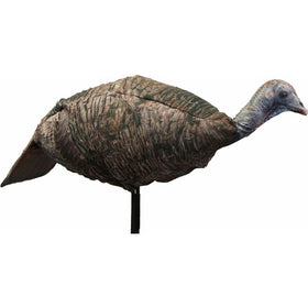 MONTANA DECOY Miss Purr-fect