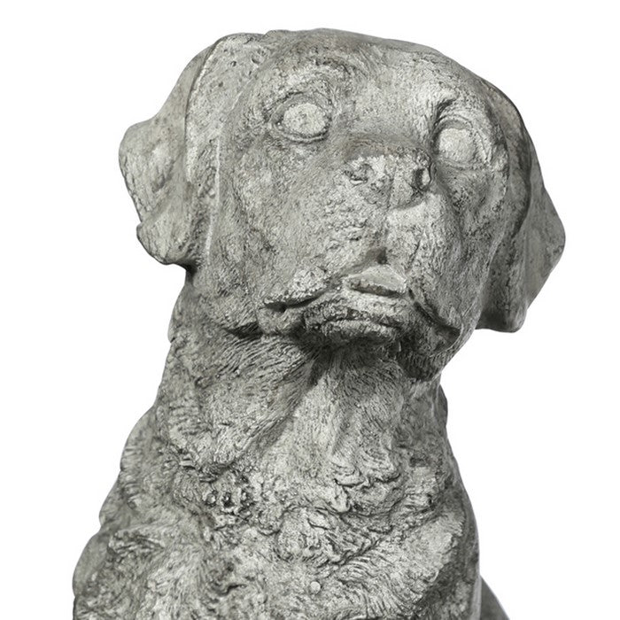 Border Terrier Dog Fiberstone Figurine in Sitting Position, Distressed Gray