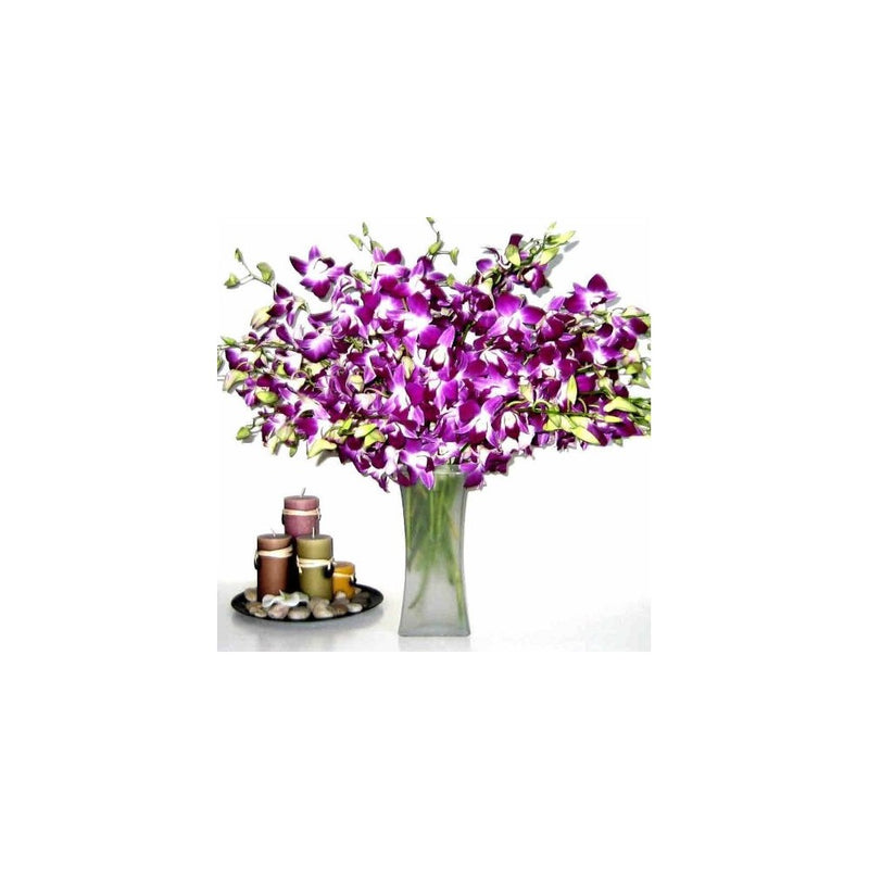 Fresh Flowers - 20 Premium Purple Dendrobium Orchids with Vase