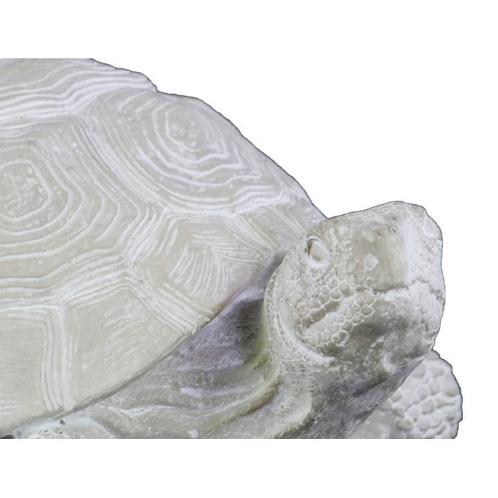 Cement Figurine of Turtle Facing Sideways in Concrete Finish, Gray