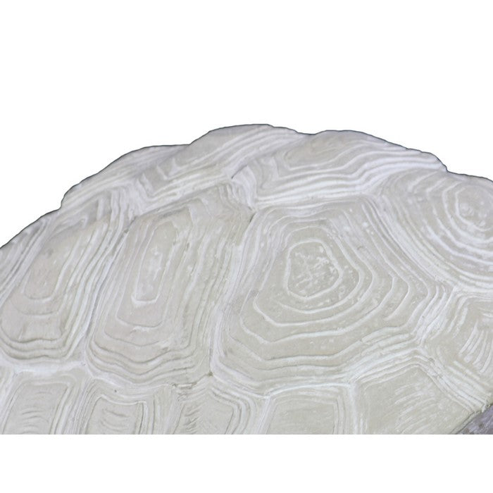Cement Figurine of Turtle Facing Sideways in Concrete Finish, Gray