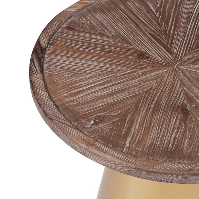 Round Wooden Top Corner Table with Metal Conical Base, Small,Brown and Gold