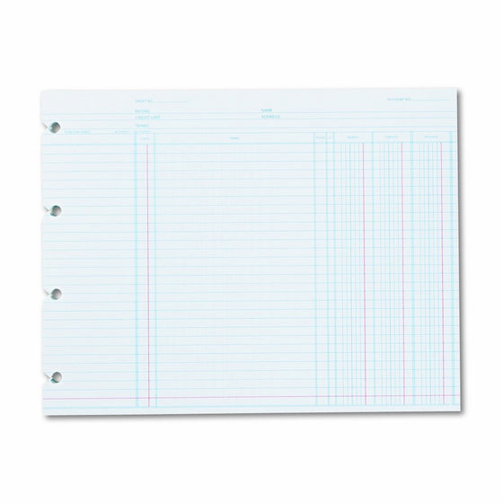 Wilson Jones N2D Accounting, 9-1/4 x 11-7/8 (Pack of 100 Loose Shoots)