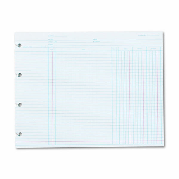 Wilson Jones N2D Accounting, 9-1/4 x 11-7/8 (Pack of 100 Loose Shoots)