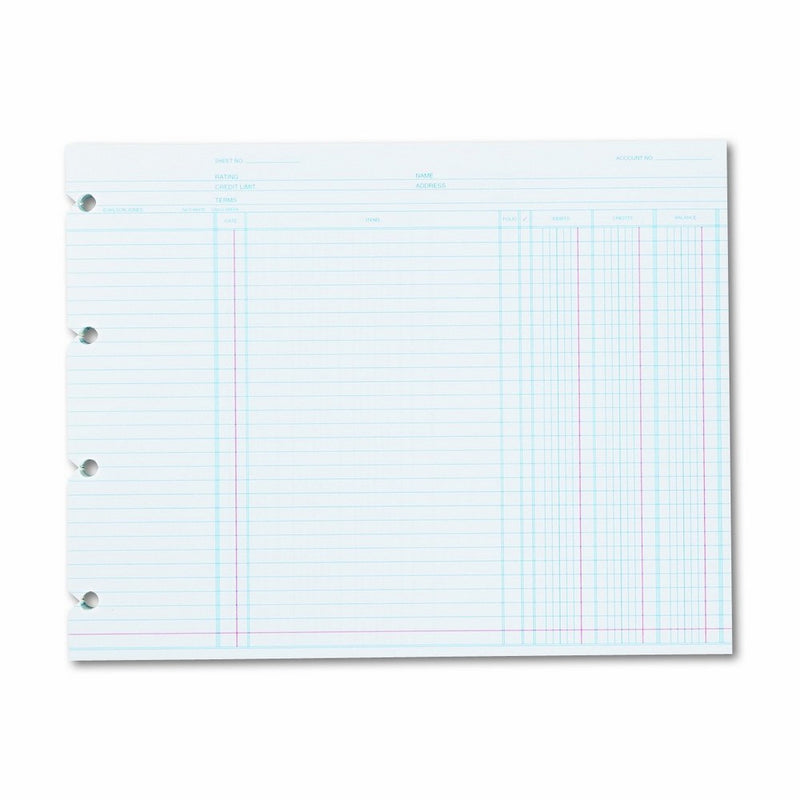 Wilson Jones N2D Accounting, 9-1/4 x 11-7/8 (Pack of 100 Loose Shoots)