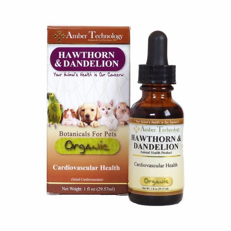 Amber Technology Hawthorn and Dandelion, 1 oz