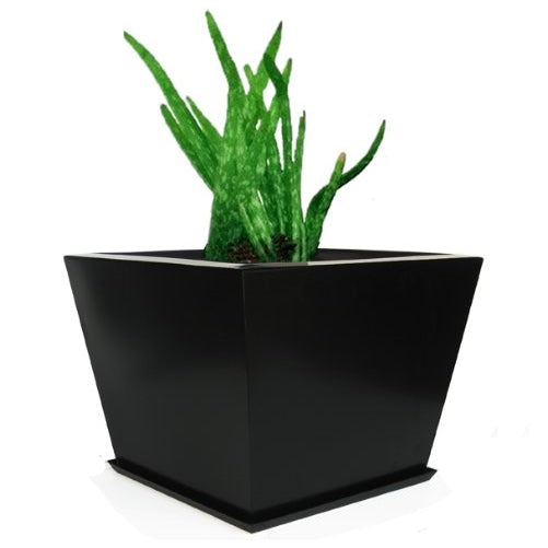 Zoid Planter - Large - 24" x 24" x 18" Tall