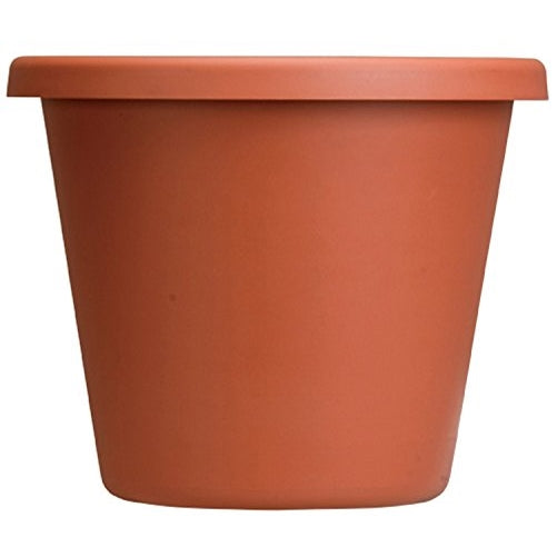 Akro Mils 12" Clay Classic Pots - LIA12000E35 (Qty 12)