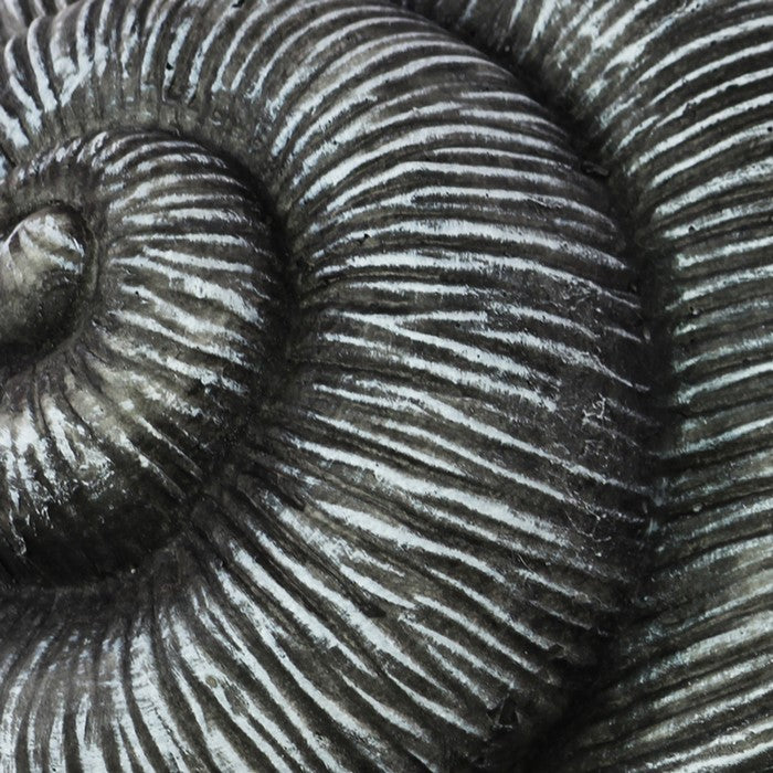 Transitional Style Textured Fiberstone Snail Figurine, Washed Gray