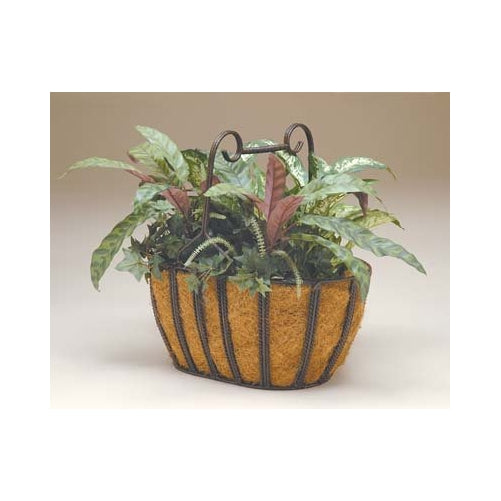 Deer Park BA202 Oval Twist Basket with Cocoa Moss Liner