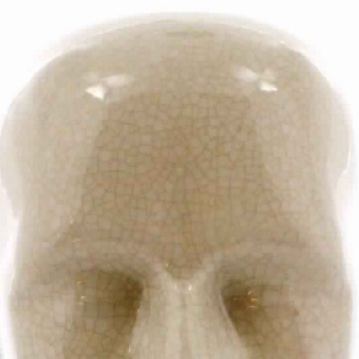 Ceramic Human Phrenology Head Sculpture, Medium, Cream