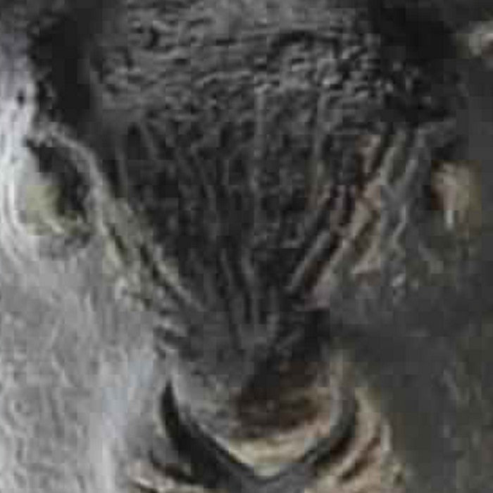 Hare Shaped Metal Frame Wall Hook, Dark Gray