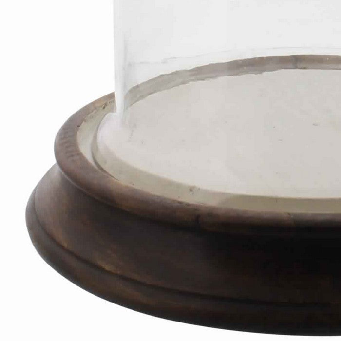 Glass Vitrine with Round Wooden Base, Brown and Clear