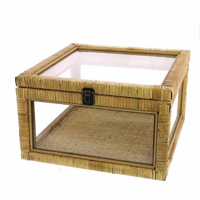 Glass Case with Woven Rattan Frame and Latch Lock, Brown and Clear